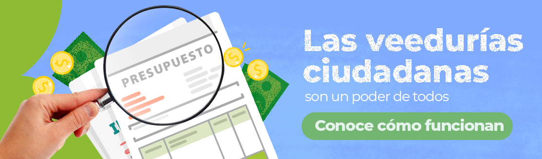 Veedurías ciudadanas