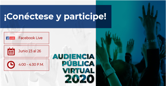Audiencia Pública Virtual Fogafín 2020