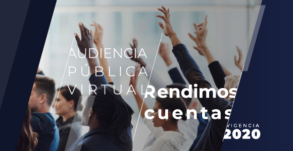 Audiencia Pública Virtual vigencia 2020