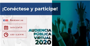 Audiencia Pública Virtual Fogafín 2020