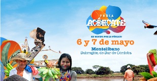 noticia_web_acercate