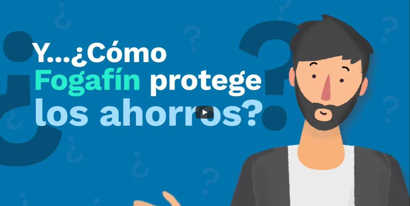 imagen de previsualización