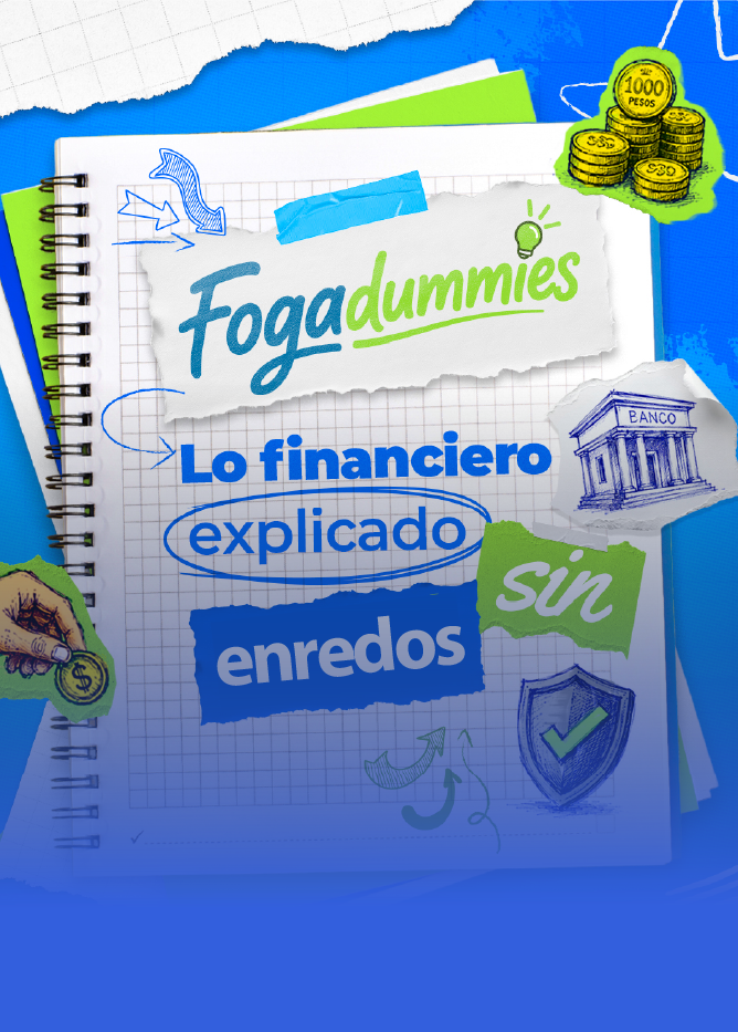 monedas, bancos, protección y textos
